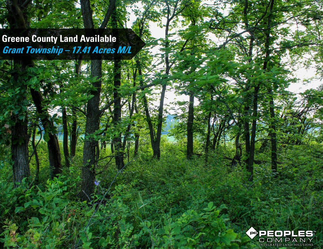 Listing Photo: Greene-Co-Rec-Land-17-Acres-19560 (19)